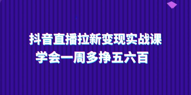 （11254期）抖音直播拉新变现实操课，学会一周多挣五六百（15节课）-来友网创