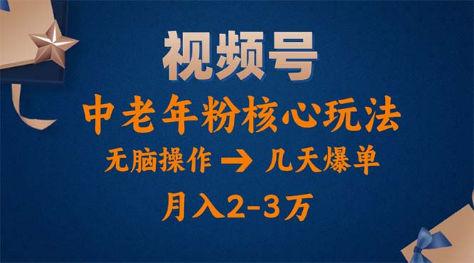 （11288期）视频号火爆玩法，高端中老年粉核心打法，无脑操作，一天十分钟，月入两万-来友网创