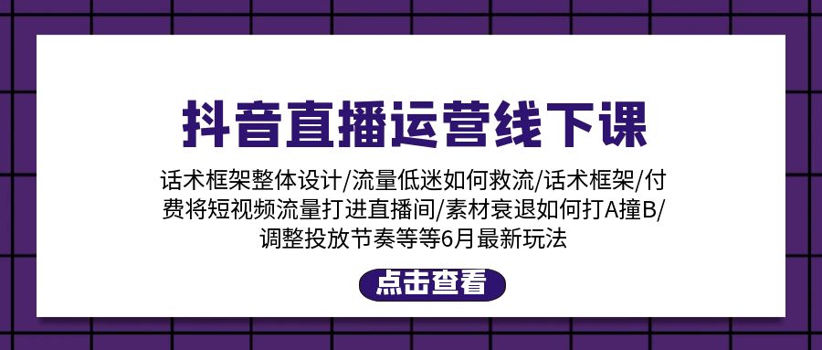 （11211期）抖音直播运营线下课：话术框架/付费流量直播间/素材A撞B/等6月新玩法-来友网创