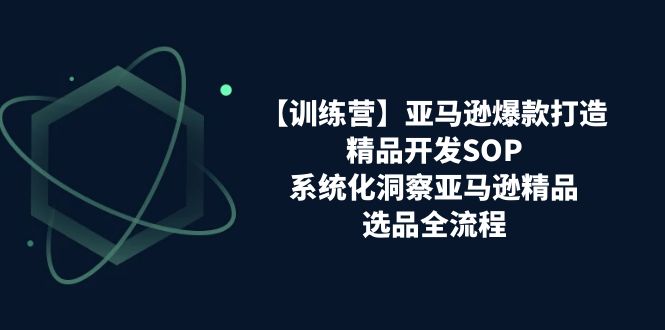 （11210期）【训练营】亚马逊爆款打造之精品开发SOP，系统化洞察亚马逊精品选品全流程-来友网创