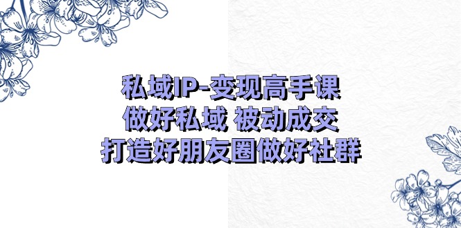 （11209期）私域IP-变现高手课：做好私域 被动成交，打造好朋友圈做好社群（18节）-来友网创