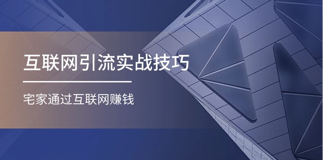 （11108期）互联网引流实操技巧(适合微商，吸引宝妈)，宅家通过互联网赚钱（17节）-来友网创