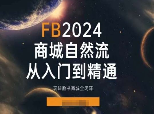 2024Faceboo商城自然流(从入门到精通)，玩转脸书商城全闭环-来友网创