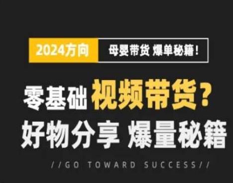 短视频母婴赛道实操流量训练营，零基础视频带货，好物分享，爆量秘籍-来友网创