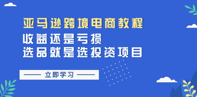 （11432期）亚马逊跨境电商教程：收益还是亏损！选品就是选投资项目-来友网创