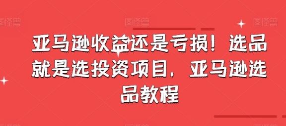 亚马逊收益还是亏损！选品就是选投资项目，亚马逊选品教程-来友网创