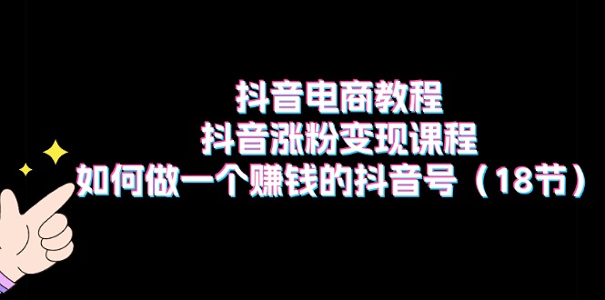 （11436期）抖音电商教程：抖音涨粉变现课程：如何做一个赚钱的抖音号（18节）-来友网创