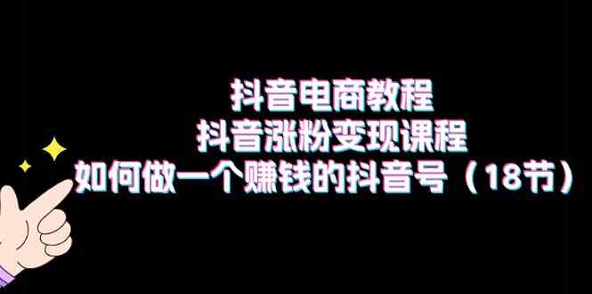 抖音电商教程：抖音涨粉变现课程：如何做一个赚钱的抖音号（18节）-来友网创