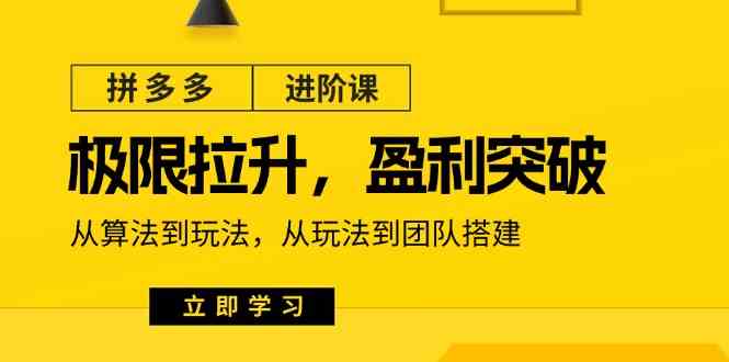 拼多多进阶课：极限拉升/盈利突破：从算法到玩法 从玩法到团队搭建（18节）-来友网创