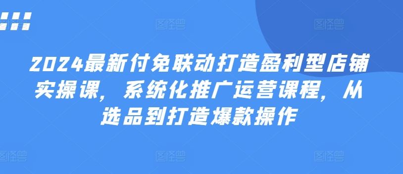 2024最新付免联动打造盈利型店铺实操课，​系统化推广运营课程，从选品到打造爆款操作-来友网创