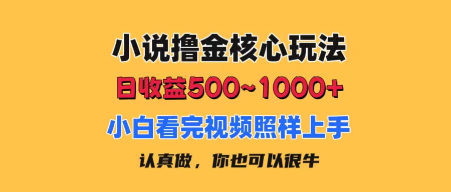 （11461期）小说撸金核心玩法，日收益500-1000+，小白看完照样上手，0成本有手就行-来友网创