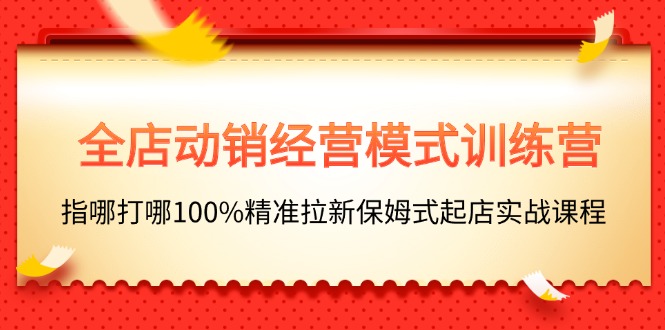 （11460期）全店动销-经营模式训练营，指哪打哪100%精准拉新保姆式起店实战课程-来友网创