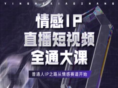 情感IP直播短视频全通大课，普通人IP之路从情感赛道开始-来友网创