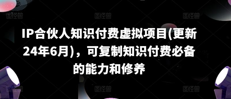 IP合伙人知识付费虚拟项目(更新24年6月)，可复制知识付费必备的能力和修养-来友网创