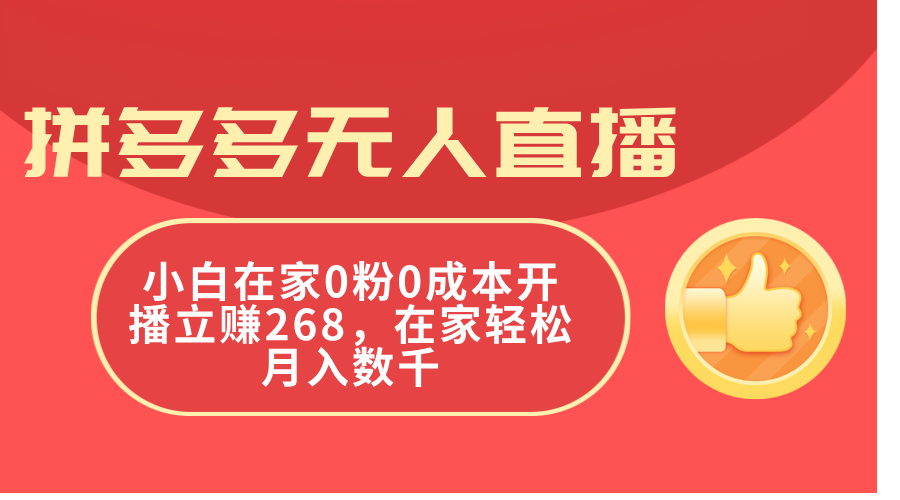 （11521期）拼多多无人直播，小白在家0粉0成本开播立赚268，在家轻松月入数千-来友网创