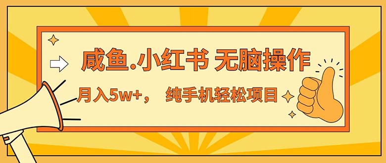 （11524期）2024最赚钱的项目，咸鱼，小红书无脑操作，每单利润500+，轻松月入5万+…-来友网创