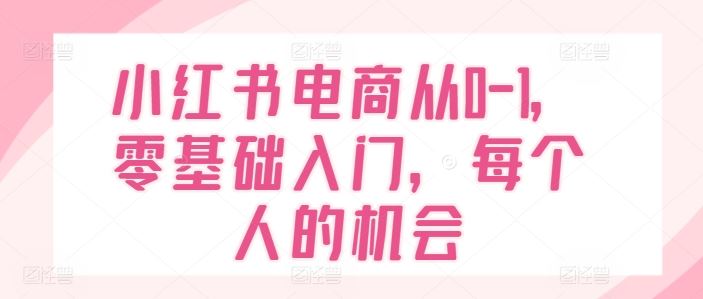 小红书电商从0-1，零基础入门，每个人的机会-来友网创