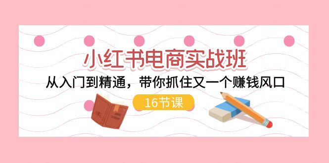 （11533期）小红书电商实战班，从入门到精通，带你抓住又一个赚钱风口（16节）-来友网创