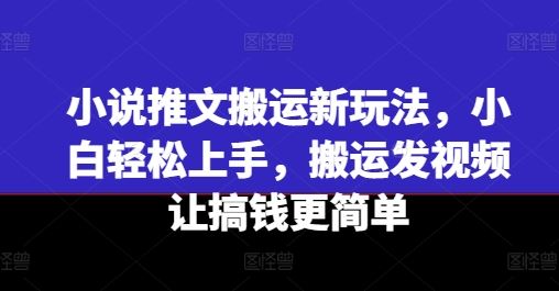 小说推文搬运新玩法，小白轻松上手，搬运发视频让搞钱更简单-来友网创