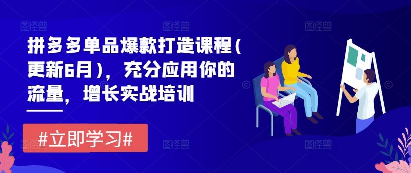 拼多多单品爆款打造课程(更新6月)，充分应用你的流量，增长实战培训-来友网创