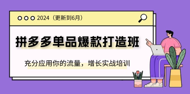 （11556期）2024拼多多-单品爆款打造班(更新6月)，充分应用你的流量，增长实战培训-来友网创