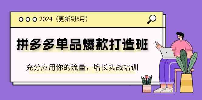 2024拼多多单品爆款打造班，充分应用你的流量，增长实战培训(更新6月)-来友网创