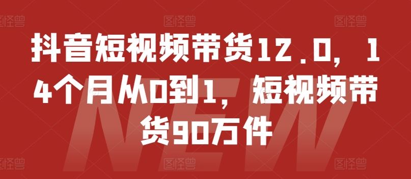 抖音短视频带货12.0，14个月从0到1，短视频带货90万件-来友网创