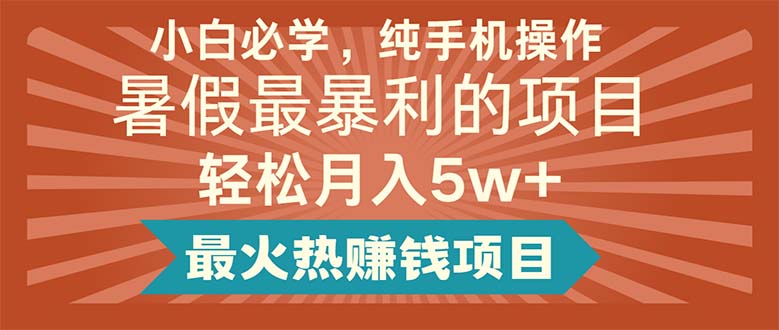 （11583期）小白必学，纯手机操作，暑假最暴利的项目轻松月入5w+最火热赚钱项目-来友网创