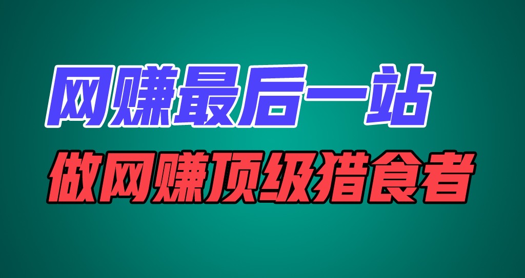 网赚最后一站，卖项目，做网赚顶级猎食者-来友网创