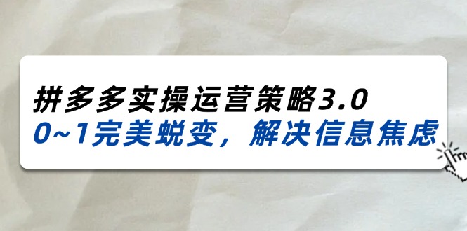 （11658期）2024_2025拼多多实操运营策略3.0，0~1完美蜕变，解决信息焦虑（38节）-来友网创