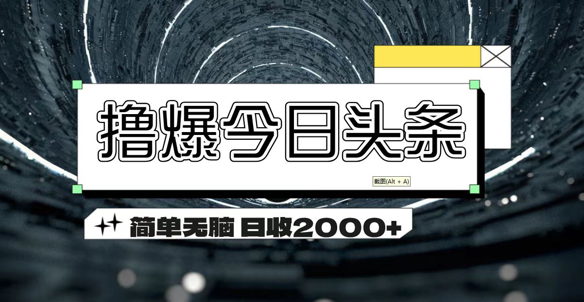 （11665期）撸爆今日头条 简单无脑操作 日收2000+-来友网创