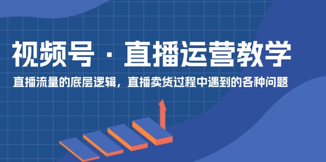 （11687期）视频号 直播运营教学：直播流量的底层逻辑，直播卖货过程中遇到的各种问题-来友网创