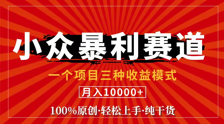 （11695期）视频号【中老年粉深信不疑】小众赛道 100%原创 手把手教学 新号3天收益…-来友网创