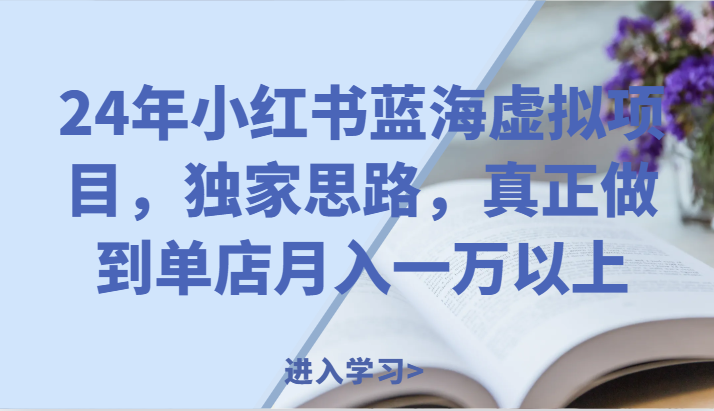 24年小红书蓝海虚拟项目，独家思路，真正做到单店月入一万以上。-来友网创