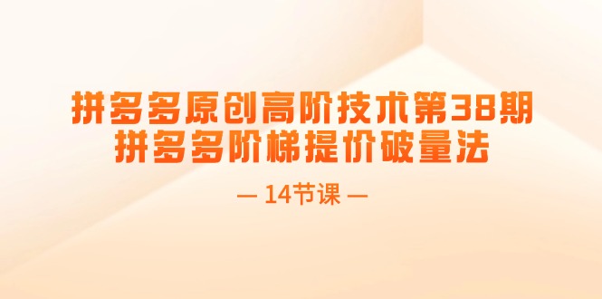 （11704期）拼多多原创高阶技术第38期，拼多多阶梯提价破量法（14节课）-来友网创