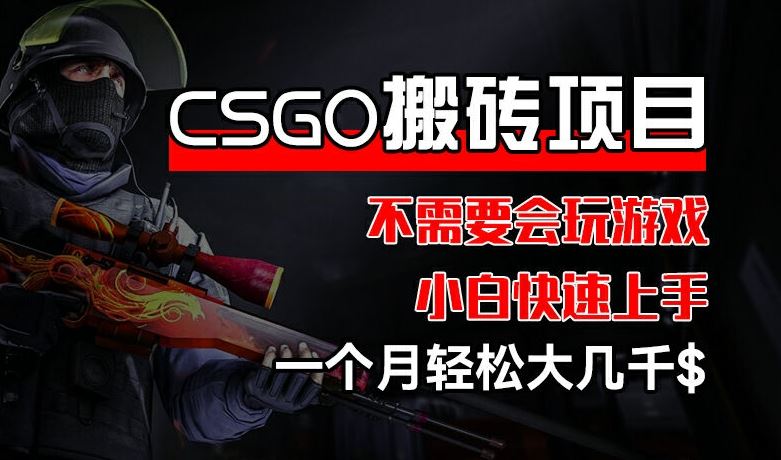 CSGO 装备搬砖项目，操作简单，不需要会玩游戏，小白也能快速上手，一个月轻松大几千【揭秘】-来友网创