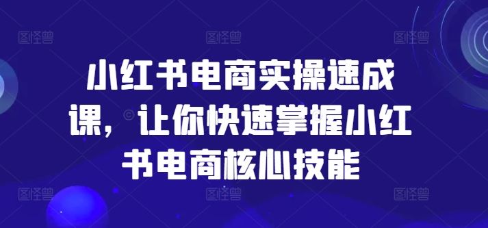 小红书电商实操速成课，让你快速掌握小红书电商核心技能-来友网创