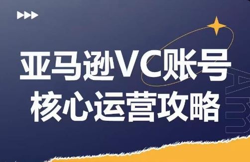 亚马逊VC账号核心玩法解析，实战经验拆解产品模块运营技巧，提升店铺GMV，有效提升运营利润-来友网创