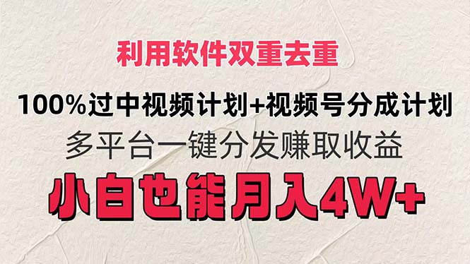 （11862期）利用软件双重去重，100%过中视频+视频号分成计划小白也可以月入4W+-来友网创