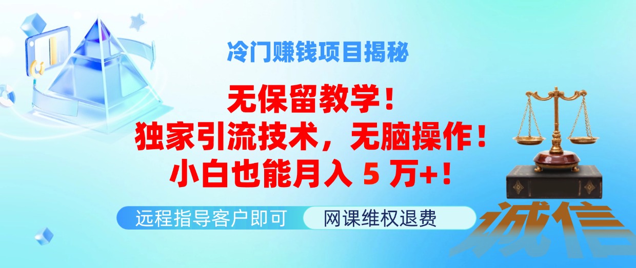 （11864期）冷门赚钱项目无保留教学！独家引流技术，无脑操作！小白也能月入5万+！-来友网创