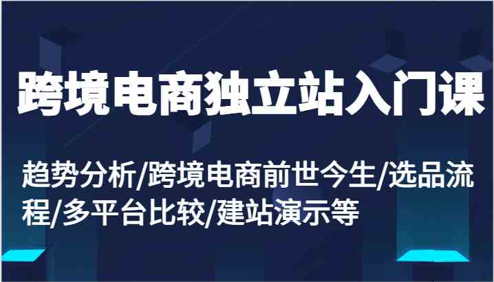 跨境电商独立站入门课：趋势分析/跨境电商前世今生/选品流程/多平台比较/建站演示等-来友网创