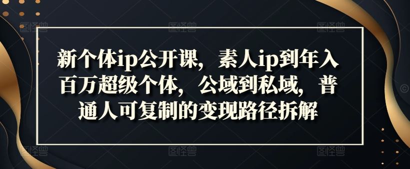 新个体ip公开课，素人ip到年入百万超级个体，公域到私域，普通人可复制的变现路径拆解-来友网创