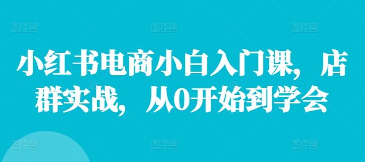 小红书电商小白入门课，店群实战，从0开始到学会-来友网创