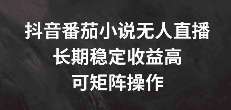 抖音番茄小说无人直播，长期稳定收益高，可矩阵操作【揭秘】-来友网创