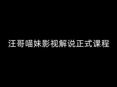 汪哥影视解说正式课程：剪映/PR教学/视解说剪辑5大黄金法则/全流程剪辑7把利器等等-来友网创