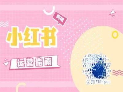 小红书运营指南，没有套路，全是经验-来友网创