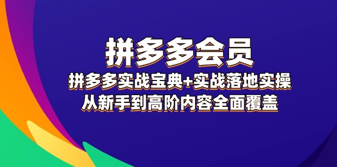 （12056期）拼多多 会员，拼多多实战宝典+实战落地实操，从新手到高阶内容全面覆盖-来友网创