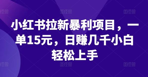 小红书拉新暴利项目，一单15元，日赚几千小白轻松上手【揭秘】-来友网创