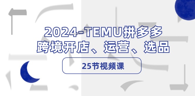 （12106期）2024-TEMU拼多多·跨境开店、运营、选品（25节视频课）-来友网创