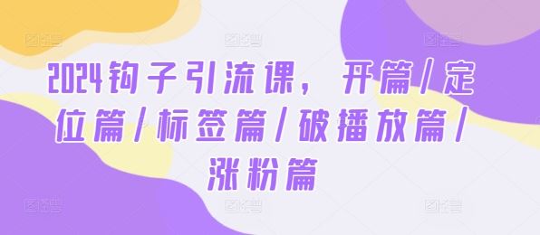 2024钩子引流课，开篇/定位篇/标签篇/破播放篇/涨粉篇-来友网创